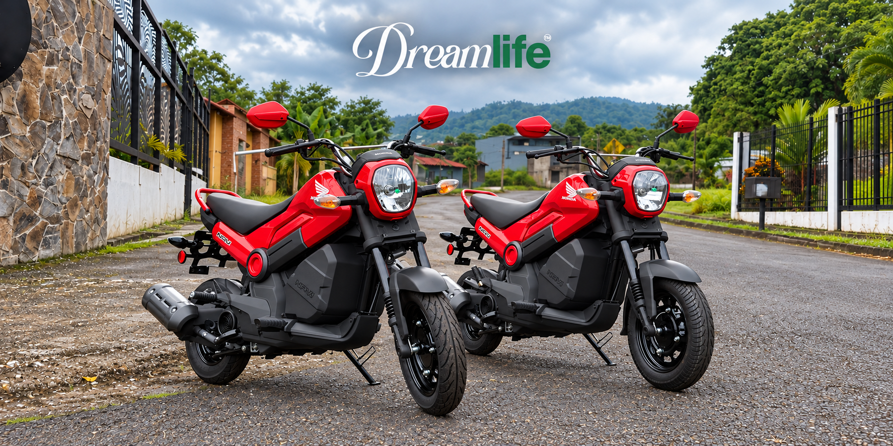 PRIMER EDICIÓN. DREAMLIFE CR